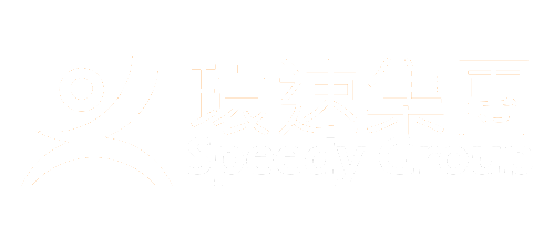 Speedy Group Corporation Limited